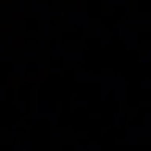 Meet your Posher, Coco